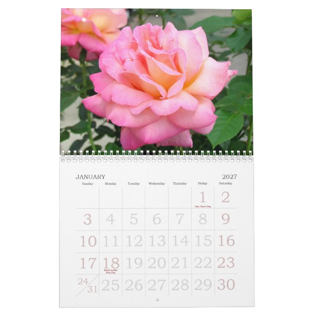 Rosen 2018 Benutzerdefinierter Kalender (Jan 2027)