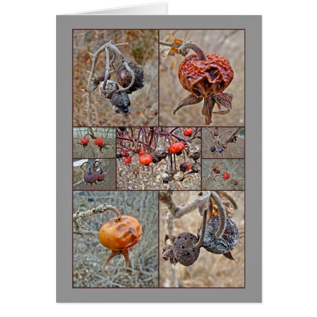 Rosen-angesagte Collage (Vorne)