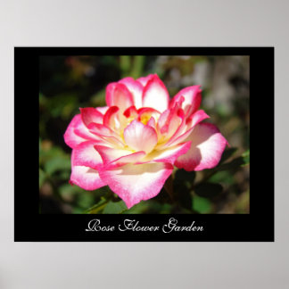 Rosen-Blumen-Gartenkunst druckt rosa Rosen Poster