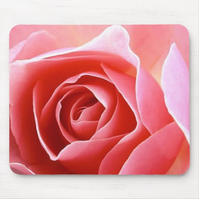 Rosen-Blumenblatt-Rosa Mousepad (Vorne)