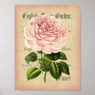 Rosen-BlumenVintages weibliches Blumenplakat Poster