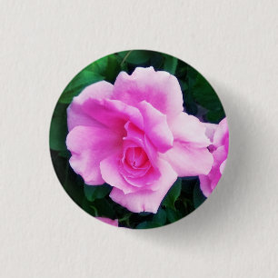 ROSEN-BUTTON BUTTON