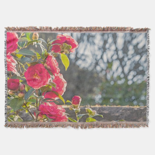 Rosen  decke (Vorderseite)
