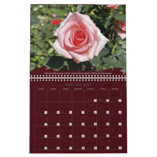 Rosen-Fotografie Inspirationskalender mit Zitaten Kalender