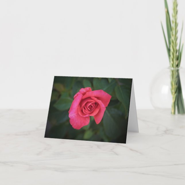 Rosen-Garten-Anmerkungs-Karte Karte (Vorderseite)
