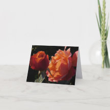 Rosen-Garten-Fine-Art-Fotografie-Karten