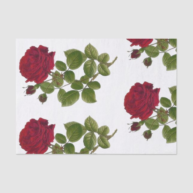Rosen-Garten-Seidenpapier 10" x15 " Seidenpapier (Vorderseite)