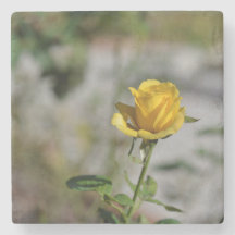 Rosen-Garten-Untersetzer-Sammlung 2 von 4