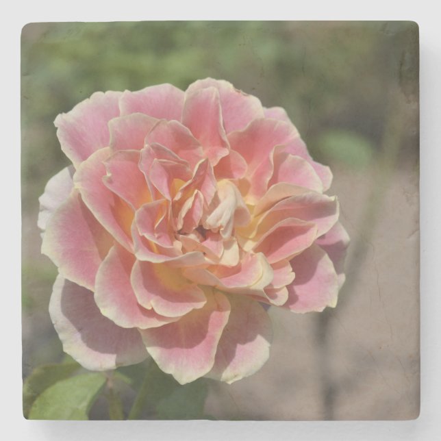 Rosen-Garten-Untersetzer Steinuntersetzer (Vorderseite)