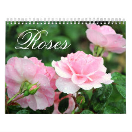 Rosen-Gewohnheits-Kalender Kalender