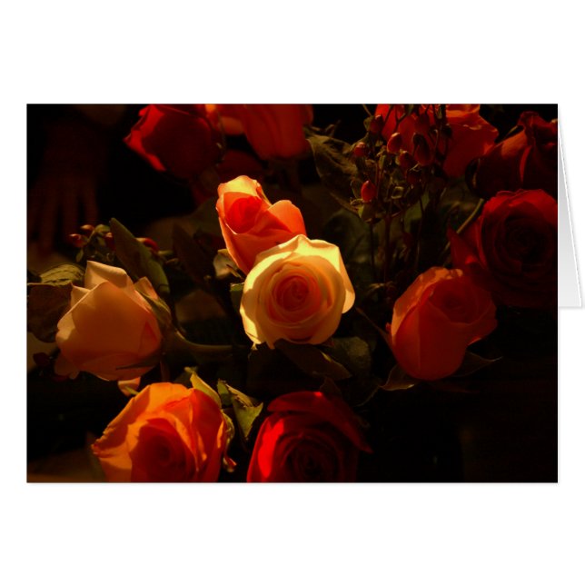 Rosen I - Orange, Hochrot und Goldruhm (Vorderseite (Horizontal))