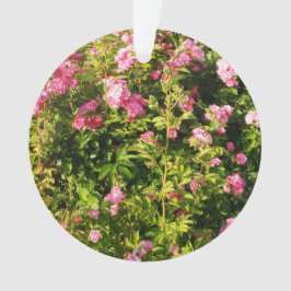 Rosen in Blüte Ornament