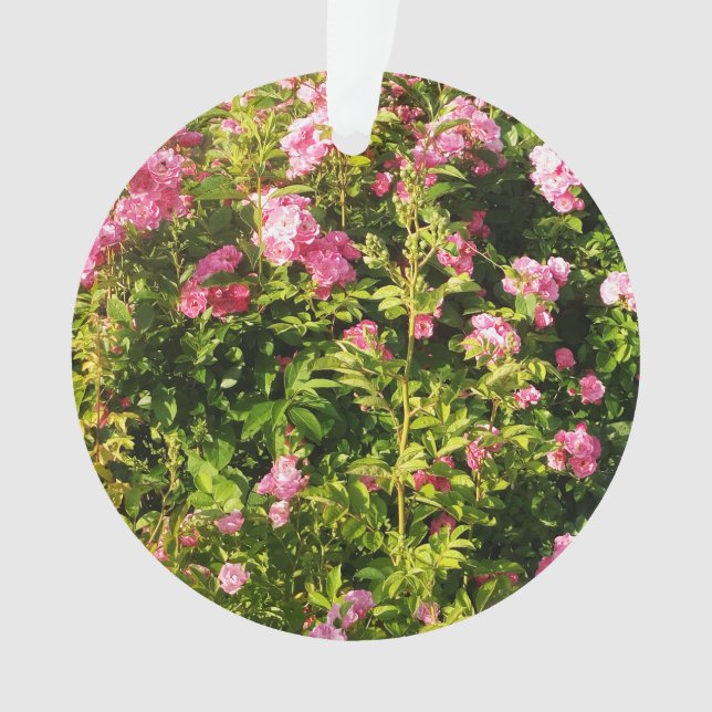 Rosen in Blüte Ornament (Vorderseite)