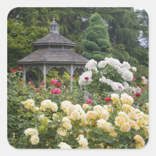 Rosen in Blüte und Gazebo-Rosengarten am Quadratischer Aufkleber