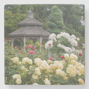 Rosen in Blüte und Gazebo Rosengarten am Steinuntersetzer