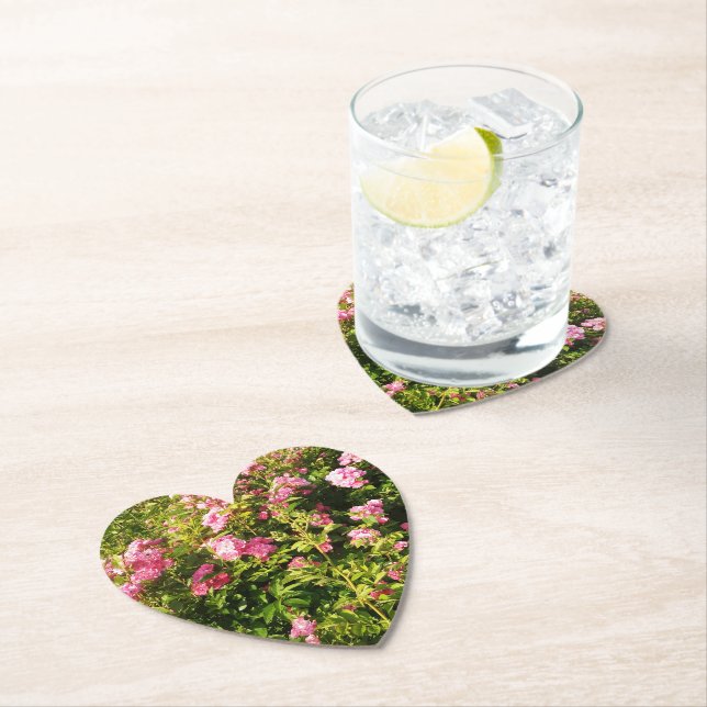 Rosen in Blüte Untersetzer (Vor Ort)