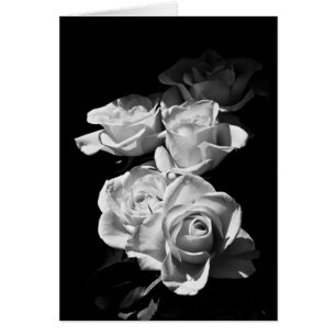 Rosen in Schwarz und Weiß