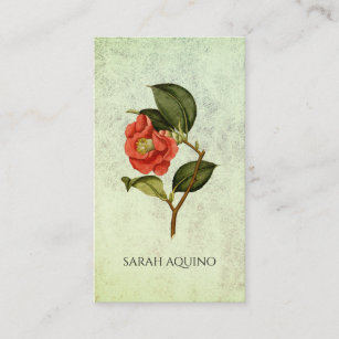 Rosen-Kamelie mit Blumen auf strukturiertem Salbei Visitenkarte
