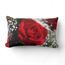 Rosen-Kissen