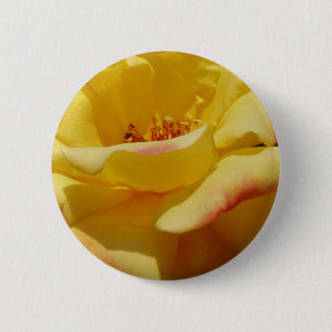 Rosen-Knopf Button