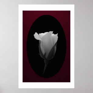 Rosen-Knospe (Schwarzes u. Weiß) Poster
