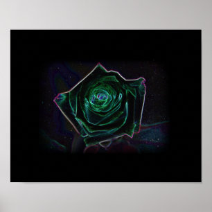 Rosen-Konstellation Poster