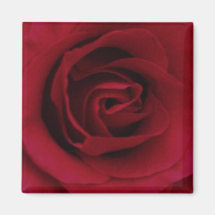 Rosen-Magnet Magnet
