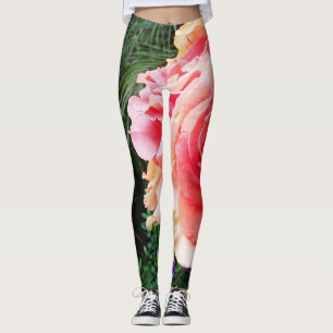 Rosen-Nahaufnahme-Foto des niedlichen coolen Leggings