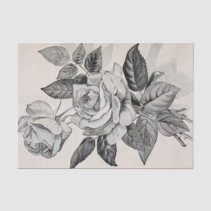 Rosen-Niederlassungs-Antiken-Druck 10" X 15" Seidenpapier