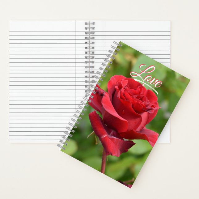 Rosen Notizbuch (Innen)