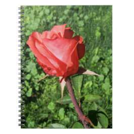 Rosen-Notizbuch Notizblock