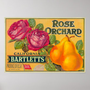 Rosen-Obstgarten-Birnen-Kisten-Aufkleber Poster