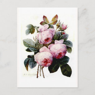 Rosen Postkarte