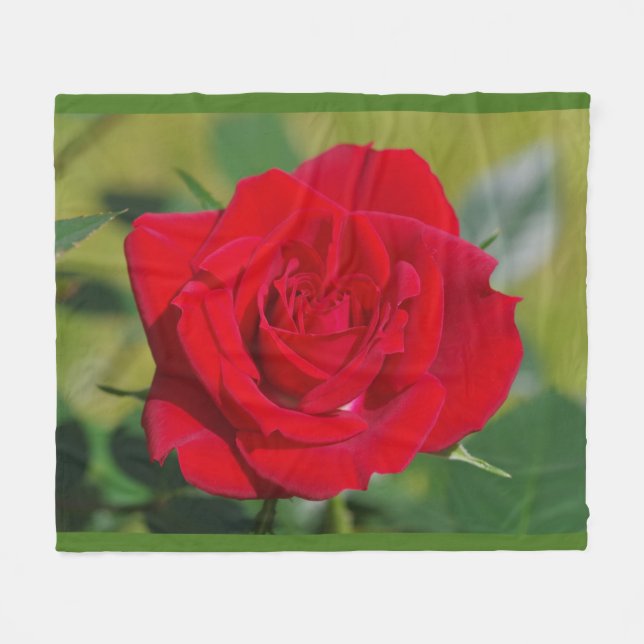 Rosen-Schönheit Fleecedecke (Vorderseite (Horizontal))