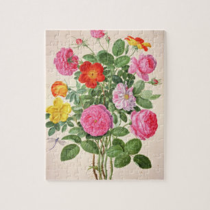 Rosen, überziehen 4 vom NassauFlorilegium (w/c an