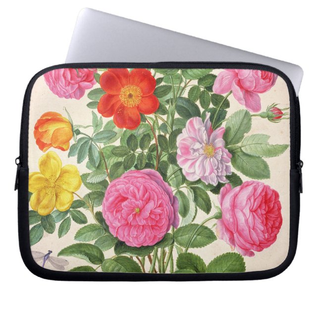 Rosen, überziehen 4 vom NassauFlorilegium (w/c an Laptopschutzhülle (Vorderseite)