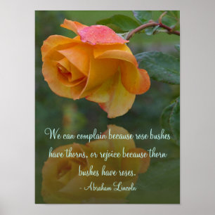 Rosen und Dornen-Inspirational Plakat