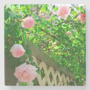 Rosen und Gitter - Martha's Vineyard Steinuntersetzer