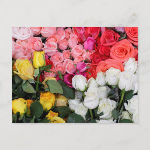 Rosen zum Verkauf, San Miguel de Allende, Mexiko Postkarte