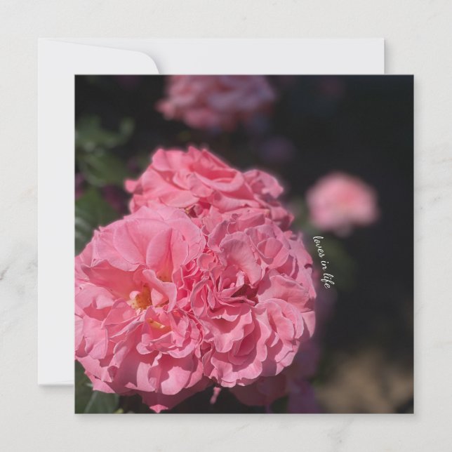 Rosenaufkleber Einladung (Vorderseite)