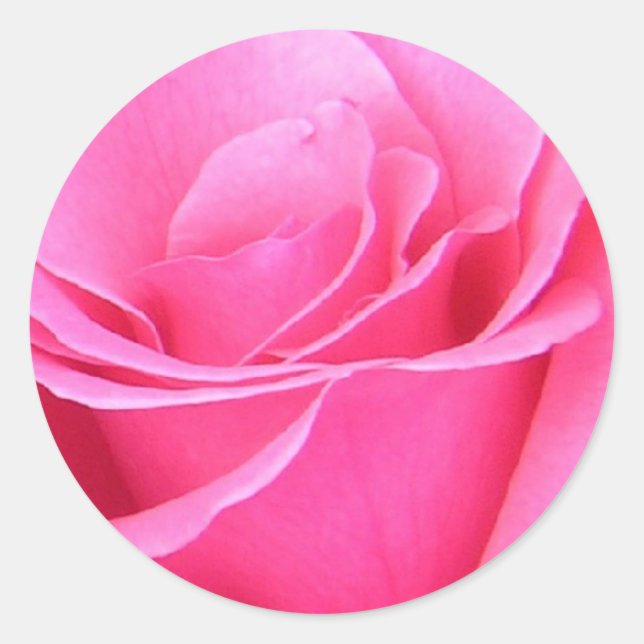 Rosenaufkleber Runder Aufkleber (Vorderseite)