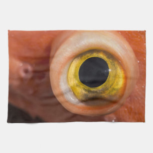 Rosenauge Geschirrtuch