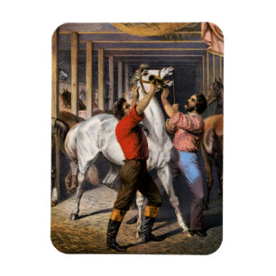 Rosenbergs "Great East India Horse Invigorator". Magnet