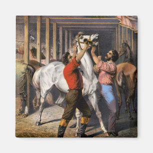 Rosenbergs "Great East India Horse Invigorator". Magnet