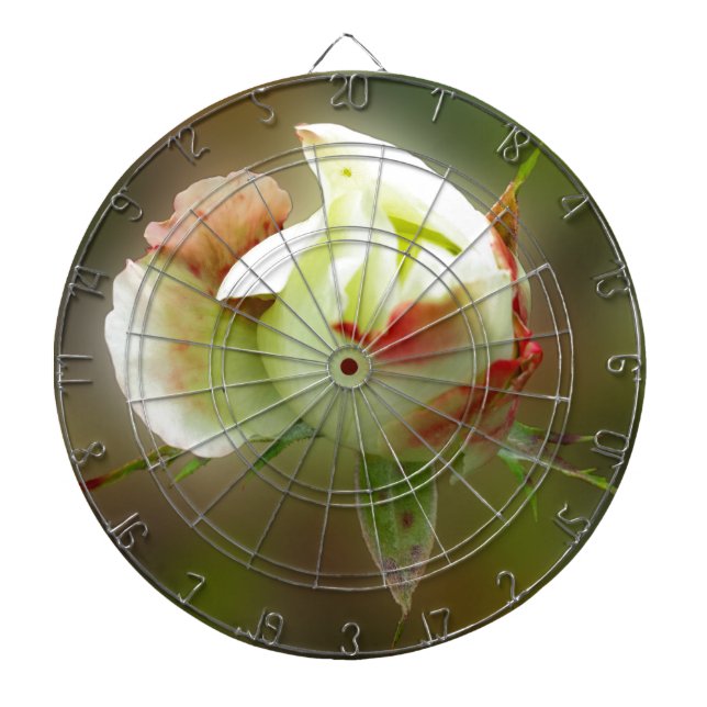 Rosenbläschen Dartscheibe (vorne)