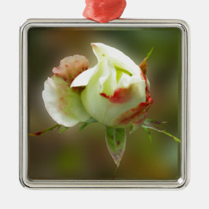 Rosenbläschen Silbernes Ornament