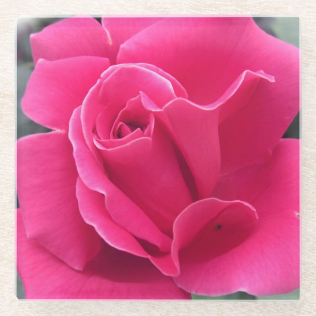 Rosenblätter Glasuntersetzer (Vorderseite)