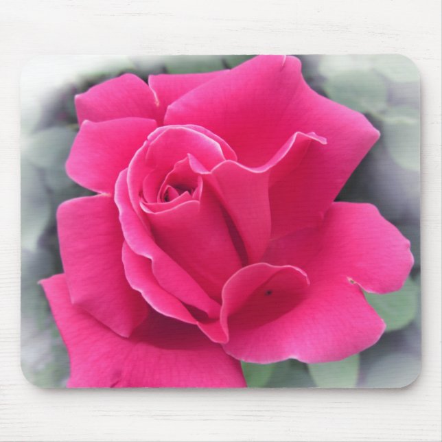 Rosenblätter Mousepad (Vorne)