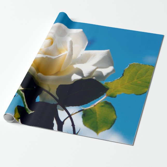 Rosenblümchen Geschenkpapier (Ungerollt)
