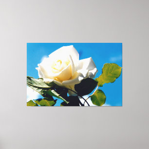 Rosenblümchen Leinwanddruck